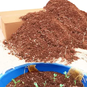 18QT Potting Soil Mix for Indoor Plants - Contains Perlite, Peat Moss, Coco Coir & Rice Charcoal, Natural & Organic with Well-Draining, Light & Aerated Texture for Healthy Roots & Fast Growth