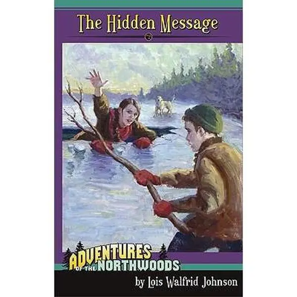 USED-The Hidden Message by Johnson, Lois Walfrid (Paperback)