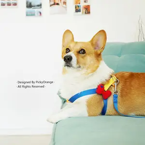 Princess Color-Block Dog Harness and Leash Pet Supplies for Small Dogs, Teacup Dogs, Corgis, and Poodles Adjustable Dog Collars jumping accessories strap breathable mesh cat harness outdoor walk LED Retractable Two-Dog with Swivel Head shaped