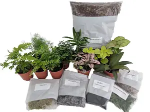 Terrarium Kit with 5 Terrarium Plants and 5 Ferns