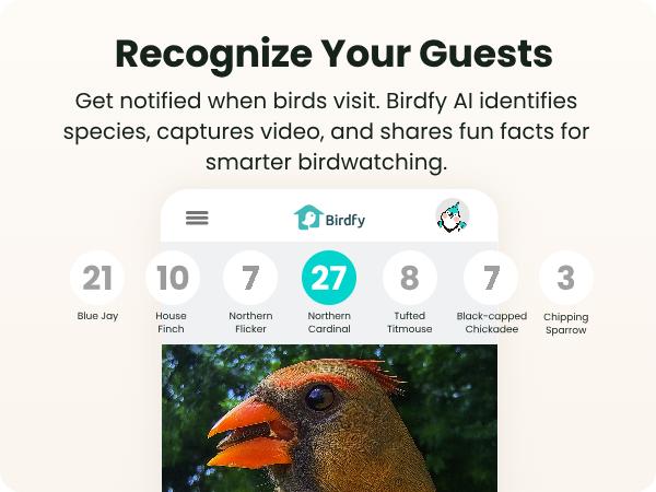 Birdfy Smart Bird Feeder with Camera Solar Powered, Night Insight & Slow-Motion Video for Outdoors & Backyard Birds Watching, AI Identify 6000+ Species , Wood Birdfy Smart Bird Feeder with Camera Solar Powered, Night Insight & Slow-Motion Video for Outdoors & Backyard Birds Watching, AI Identify 6000+ Species , Wood