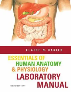 USED-Essentials of Human Anatomy & Physiology Lab Manual (3rd Edition) by Elaine N. Marieb (Unknown)