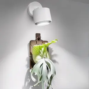 Barrina TR40a Track Grow Light for Indoor Plants, 40W Hanging Grow Lights with Adjustable Beam Angle (15°-60°), 5000K Full Spectrum Wall-Mounted Plant Light with Timer for Growing Houseplants,1-Pack