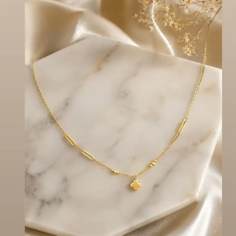 Delicada cadena para dama