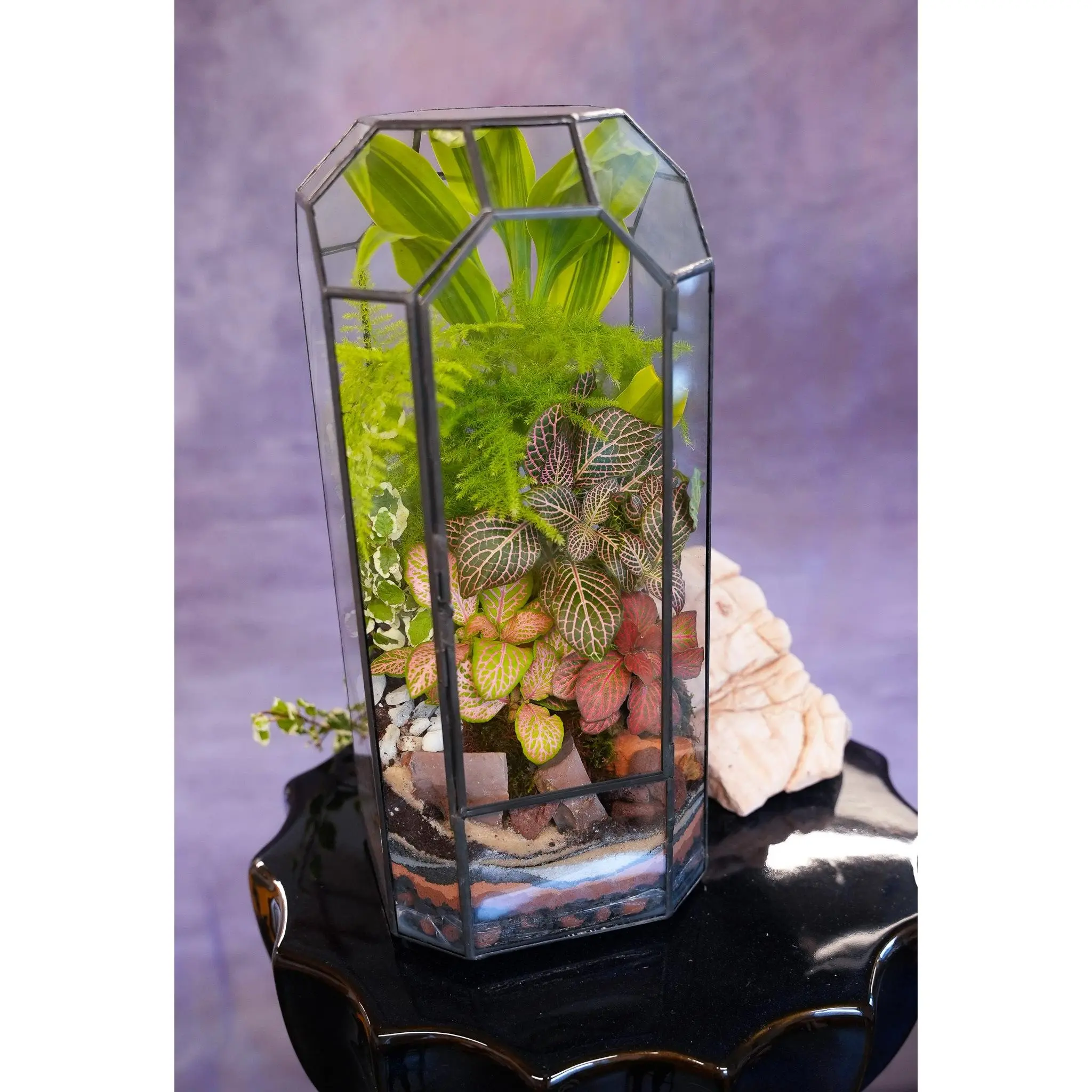 Octagon Vintage Terrarium