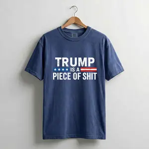 Comfort Color Free Speech Humor Shirt | Funny Political Graphic Tee | Retro Statement Outfit | Trendy Casual Cotton Shirt