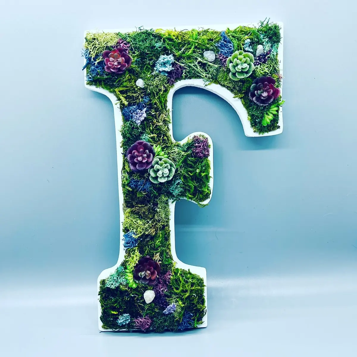 Personalized Moss Monograms, Moss Art Letters, Nursery Decor, Name Sign, Succulent Letters, Moss Home Decor, Moss Wall Art, Wall-Hanging Wood Letters, Forestcore, Cottagecore, FairyCore Housewarming Wall-mounted Bedroom Wall-mounted Wooden Modern White