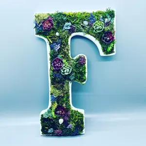 Personalized Moss Monograms, Moss Art Letters, Nursery Decor, Name Sign, Succulent Letters, Moss Home Decor, Moss Wall Art, Wall-Hanging Wood Letters, Forestcore, Cottagecore, FairyCore Housewarming Wall-mounted Bedroom Wall-mounted Wooden Modern White