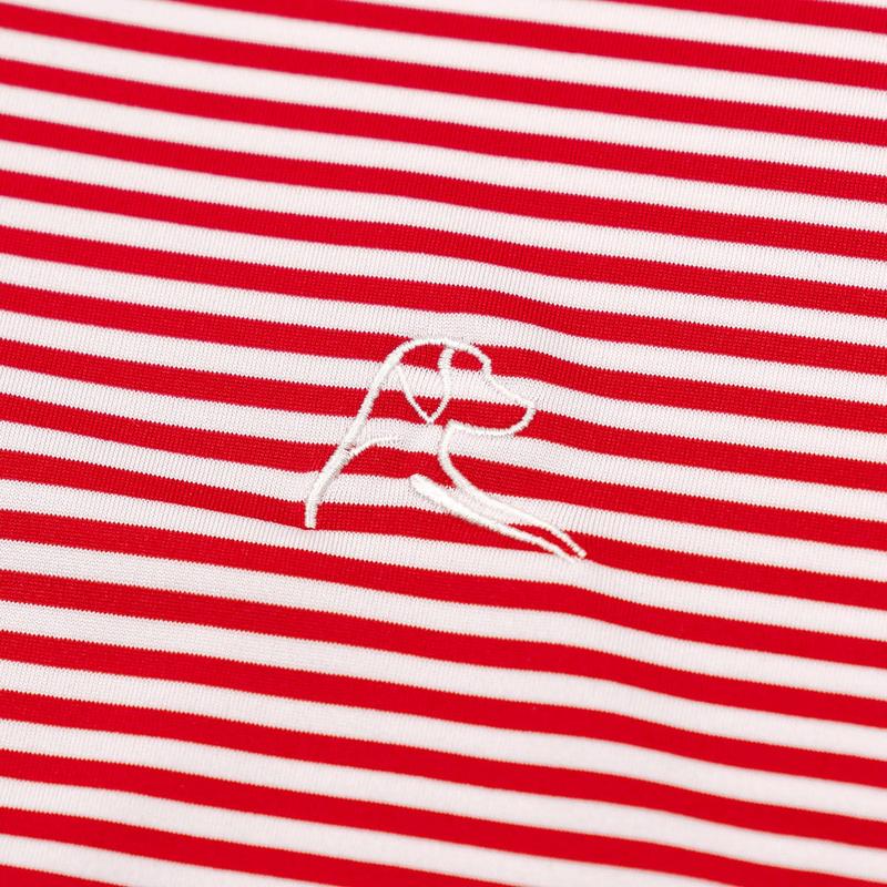 The Birdie Stripe Men's Short Sleeve Performance Polo Shirt, Lightweight Quick-Dry Stretch Golf Polo, Breathable Sportswear Top for Outdoor Play, Casual Golf and Everyday Wear