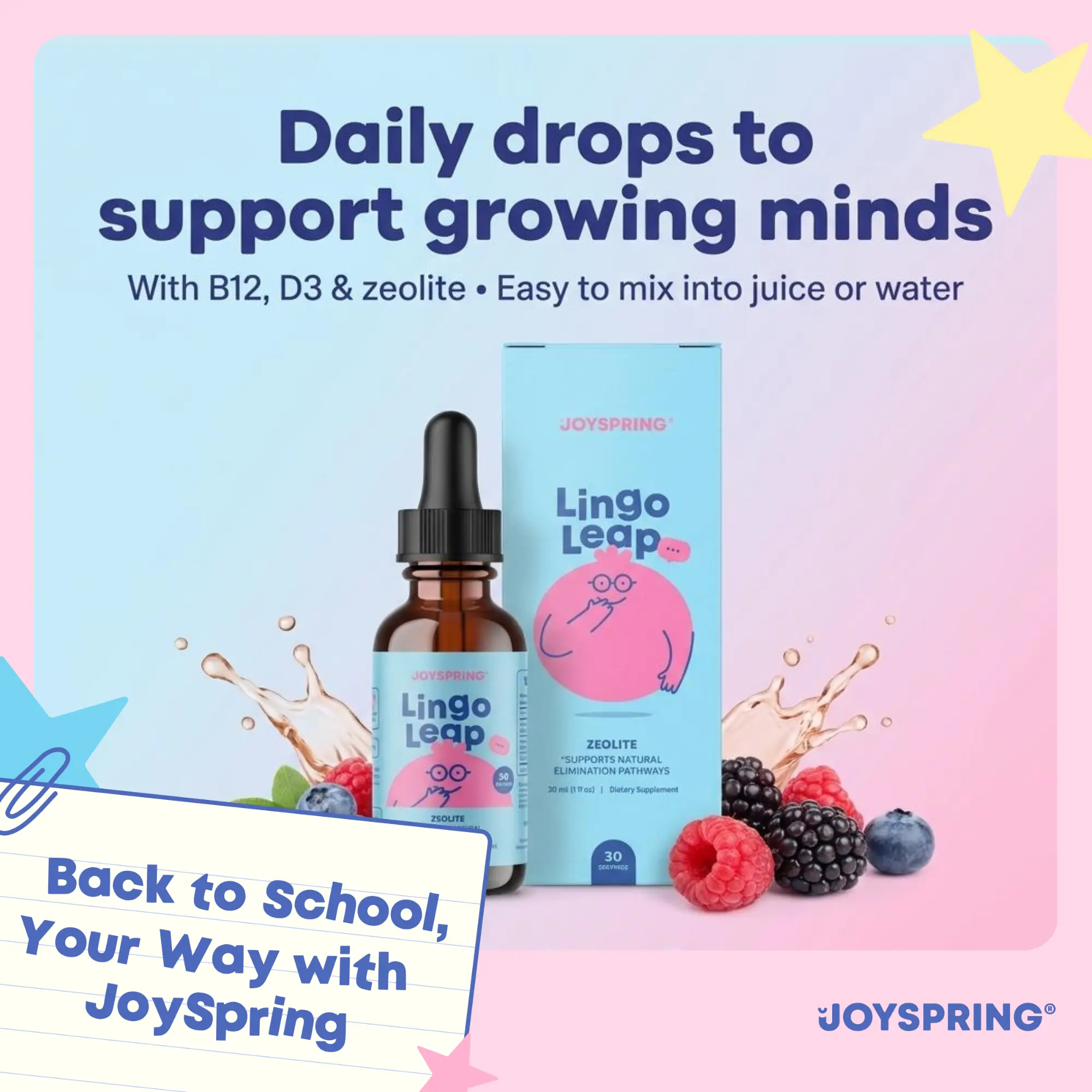 JoySpring LingoLeap Speech Learning Natural Supplement for Kids – Zeolite Drops with B Vitamins and Premium Botanical Extracts To Support Focus, Memory, and Everyday Learning