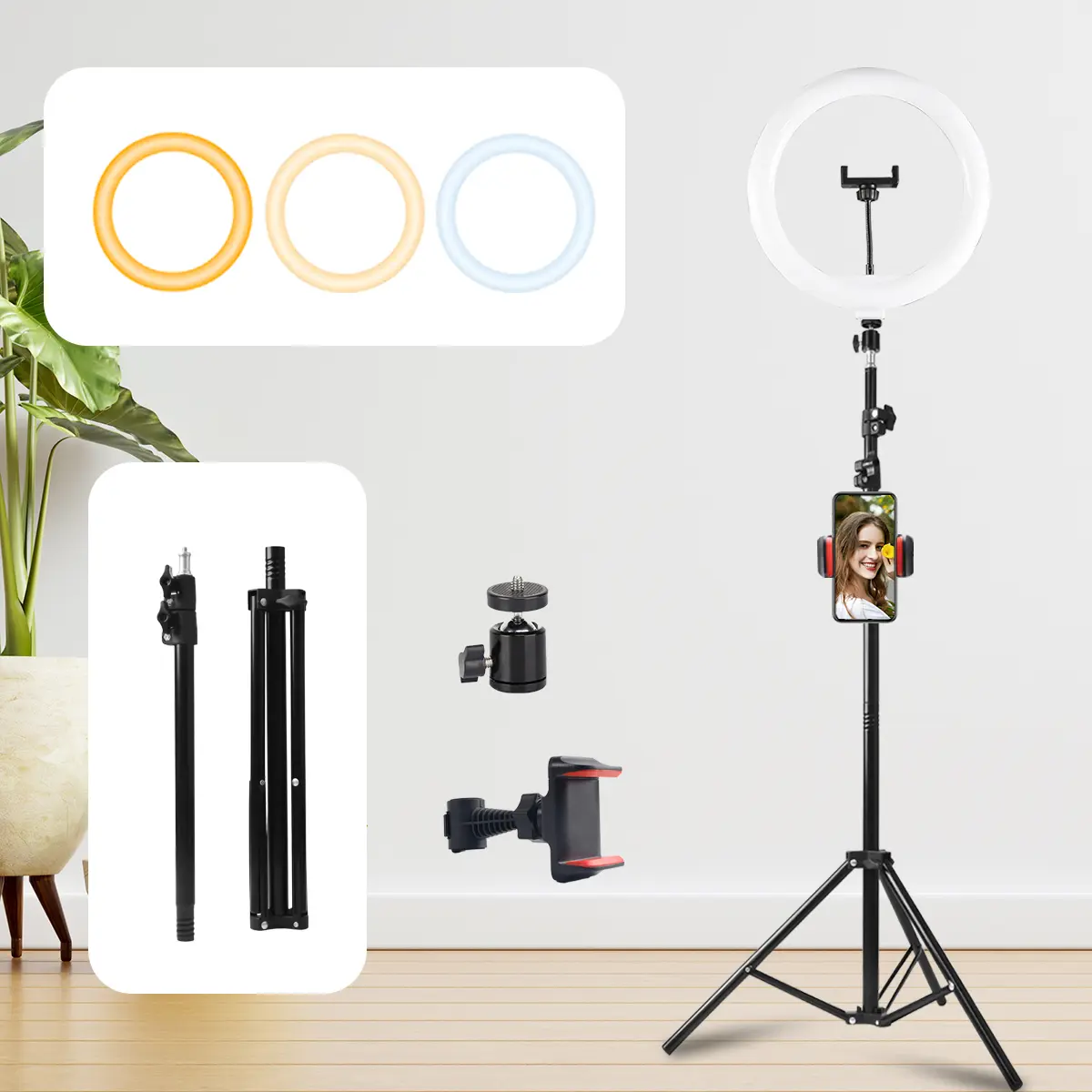 12in Light & 63in Stand Kit w/ 2 Clips