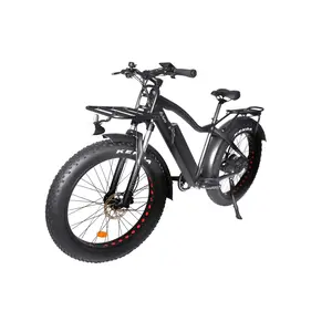 FX-Series 750 Fat Tire Bike
