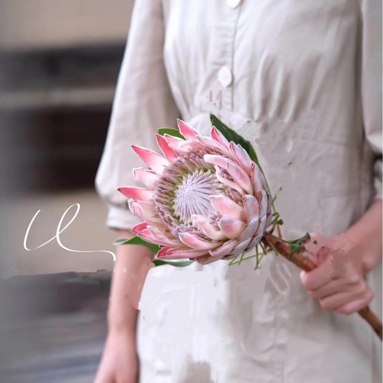 7 Stems/1 Bunch 7.87 Inch Flowers Detachable Large Headed Artificial Protea High-Quality Latex Flowers with Ful