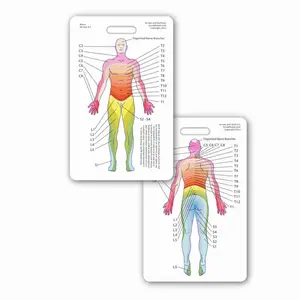 Dermatome Diagram Badge Card