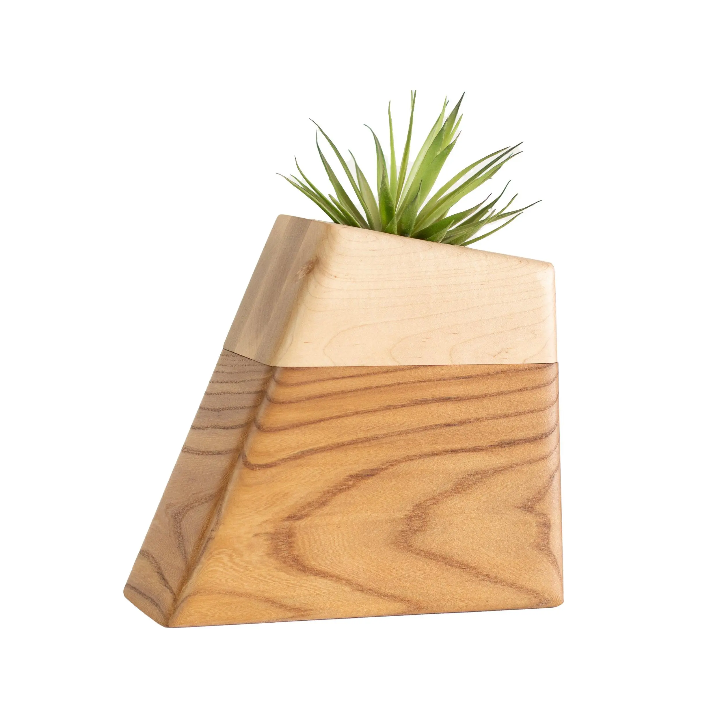 Large Planturn™ Cremation Urn in Elm & Maple