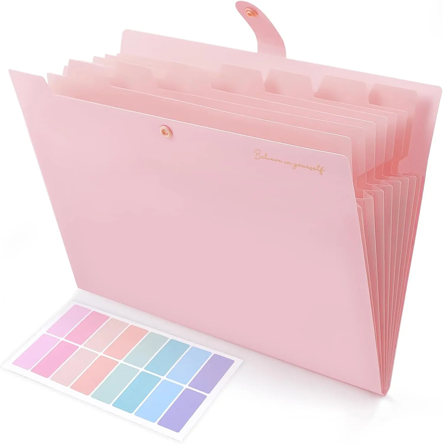 8-Pocket Accordion Expanding File Folder, Letter/A4 Size Document Receipt Organizer for Office & School, Pink