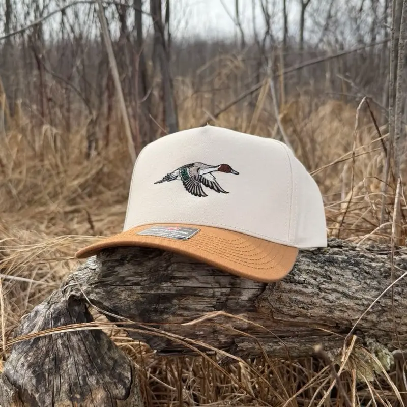 Pintail 323