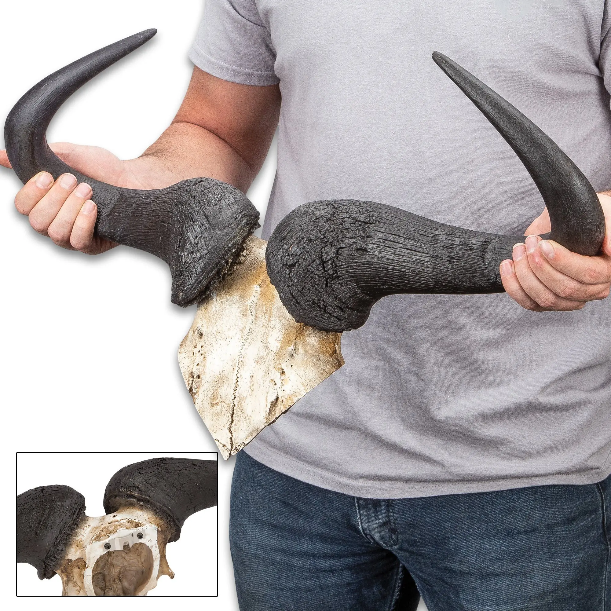 Faux Wildebeest Horns on Mount Faux Wildebeest Horns on Mount
