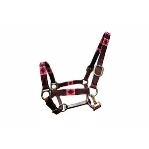 The Pampa - Valentina - Premium Polo-Style Leather Halter