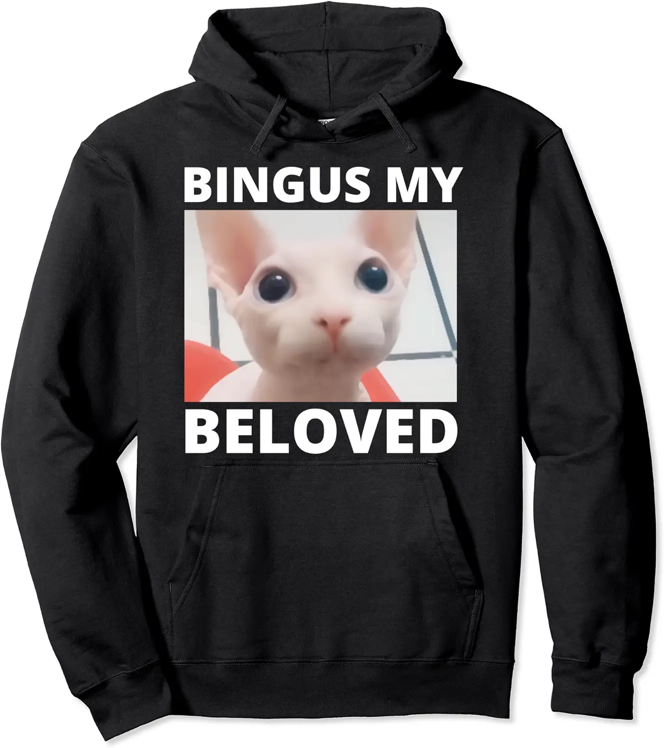 Bingus Is Calling My Beloved Hairless Sphinx Sphynx Cat Meme Pullover Hoodie - Nicolelebro Shop 41B0BQZFNPHV