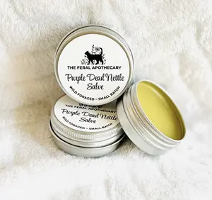 The Feral Apothecary Purple Dead Nettle Salve 0.5 oz Handmade All-Natural Salve with Wild-Harvested Purple Dead Nettle & Olive Oil for Moisturizing and Skin Care