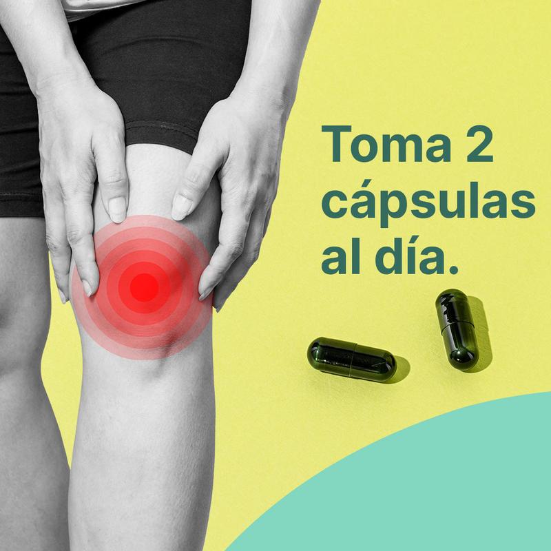 Santo Remedio Articulaciones, Promotes Joint Comfort and Function, Contains Clinically Proven Ingredients, TamaFlex, 30 servings Healthcare Supplement Dietary (3 botellas)