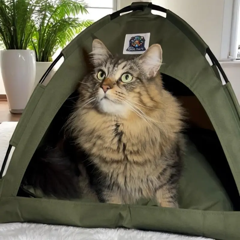 GlobHarb Portable Cat Tent House, Tent for Small Puppies and Kittens, Foldable Pet Tent, Cat Camping Tent, Pet Supplies for Small Dogs & Cats, Home Pet Supplies for Cats, Pet Products