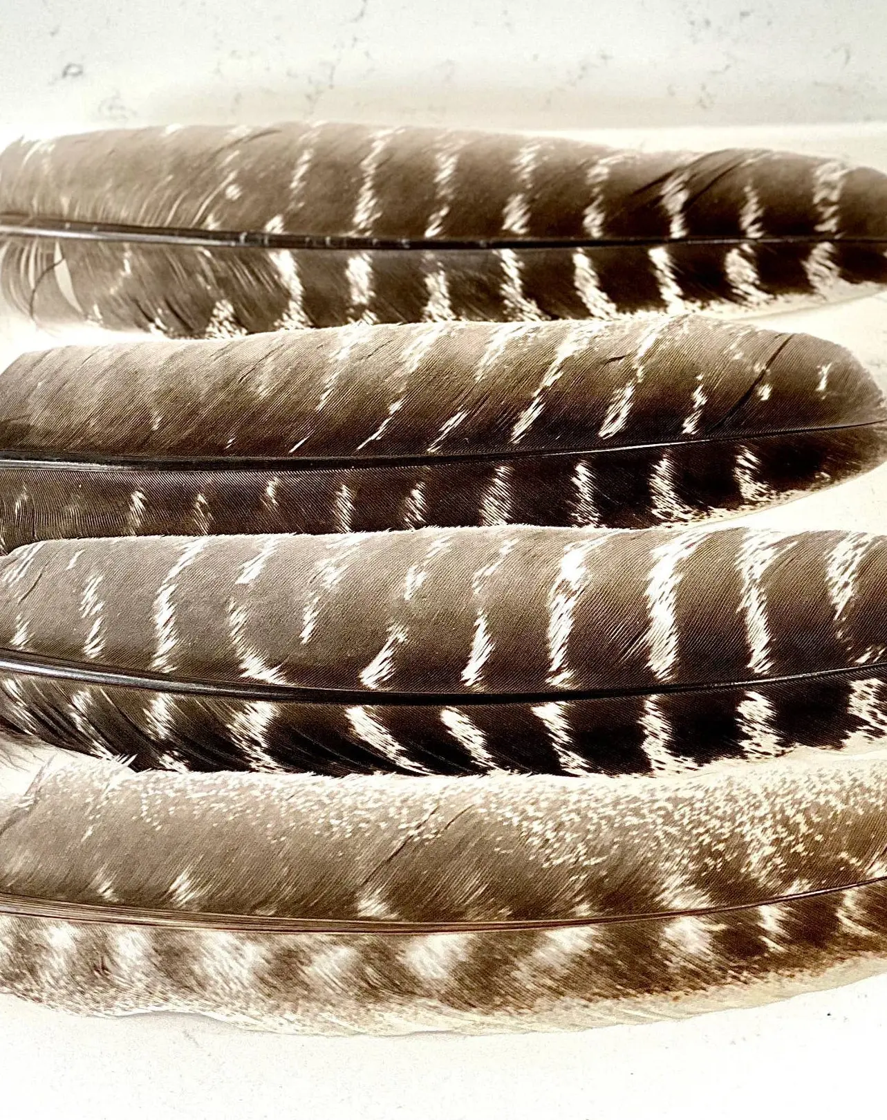 Feathers for Smudging