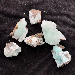 [Earth Archive] Specimen A