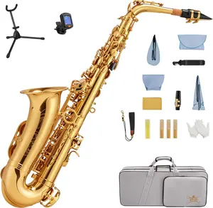 STRICH Eb Alto Saxophone Brass Student Beginner Alto Sax Kit with Hard Case Stand Neck Strap Mouthpiece and Reeds for School Band Home Practice, SSA-31G, Gold