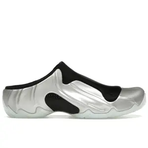 Nike Men's Clogposite Chrome, from StockX