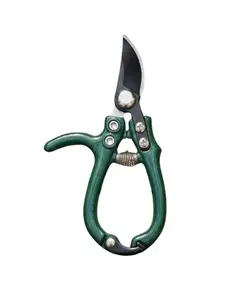 Houseplant Shears