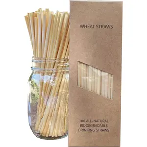 (R) Wheat Straws - 100 - Drinking Straws - Single use, Disposable, Biodegradable, and Compostable