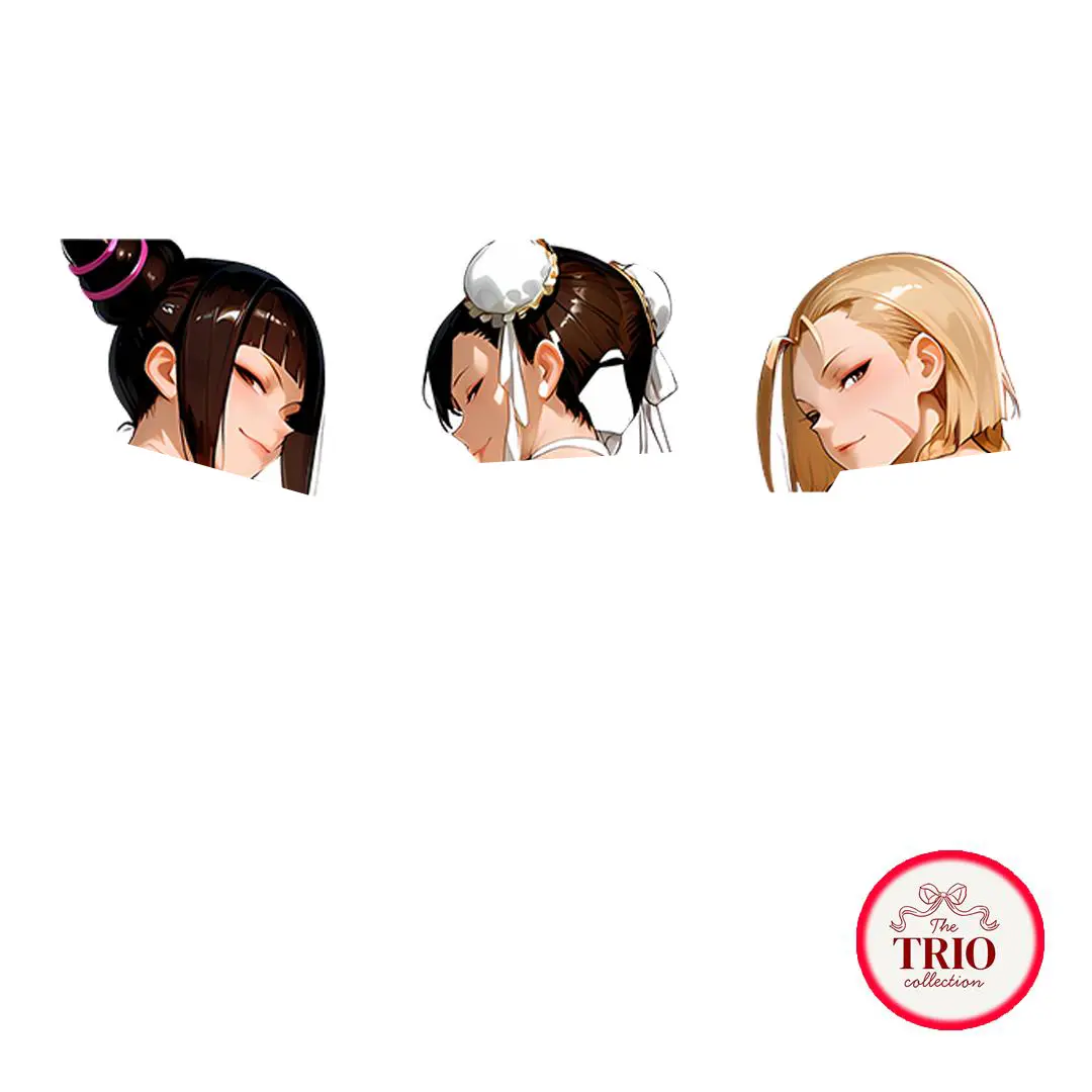 Legendary Female Fighter Trio Anime Vinyl Sticker Waterproof Decal Martial Heroine Group Laptop Water Bottle Gift