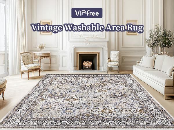 VIPfree Retro Bohemian Area Rugs 2*3FT, Non-Slip Foldable Washable Rugs for Living Room, Entryway, Bedroom, Kitchen and Corridor, Non Shedding