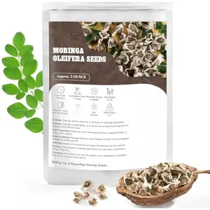 Moringa Seeds for Planting, 2 Ounce 140+ Seeds, 100% Natural Semillas de Moringa, Non- GMO | Premium Quality| High Germination 9-11