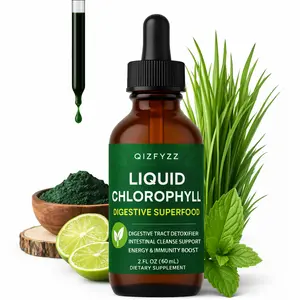 NEW AGE Chlorophyll Liquid Drops - Natural Concentrate – Energy Booster, Digestion and Immune System Supports, Internal Deodorant, Liver Function - 2 Fl Oz