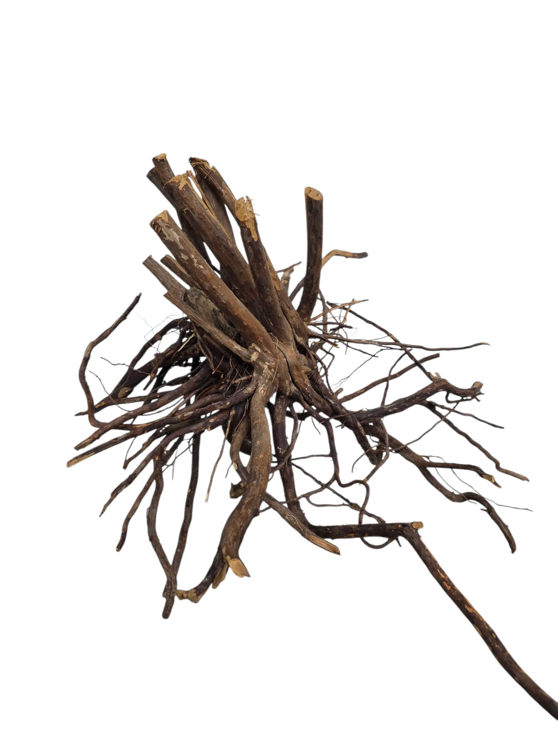 XXL Tiewood Driftwood - Natural Decor for Aquascaping Aquariums & Landscaping Terrariums - Approximately 24" in Length!