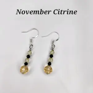 November Birthstone Earrings