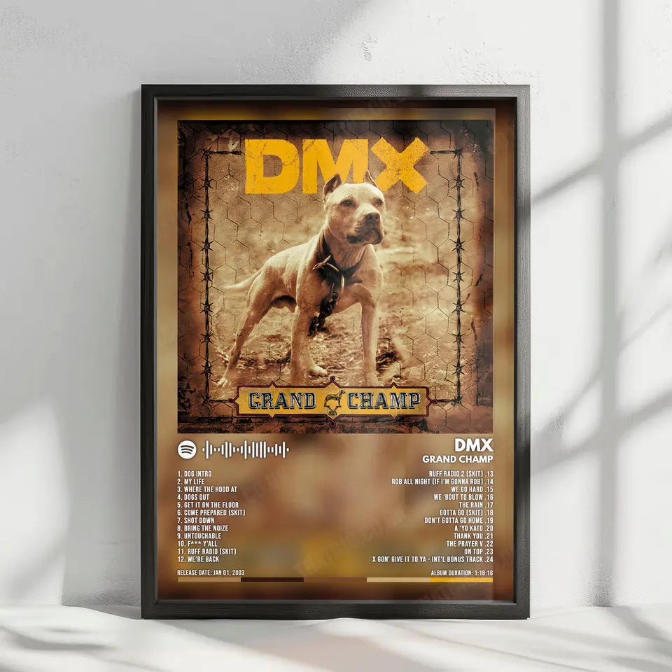 DMX 