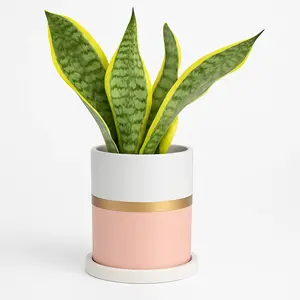 4 Pink Ceramic Pot Gold