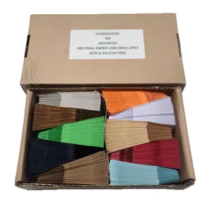 2x2 Paper Coin Envelopes, Box of 500