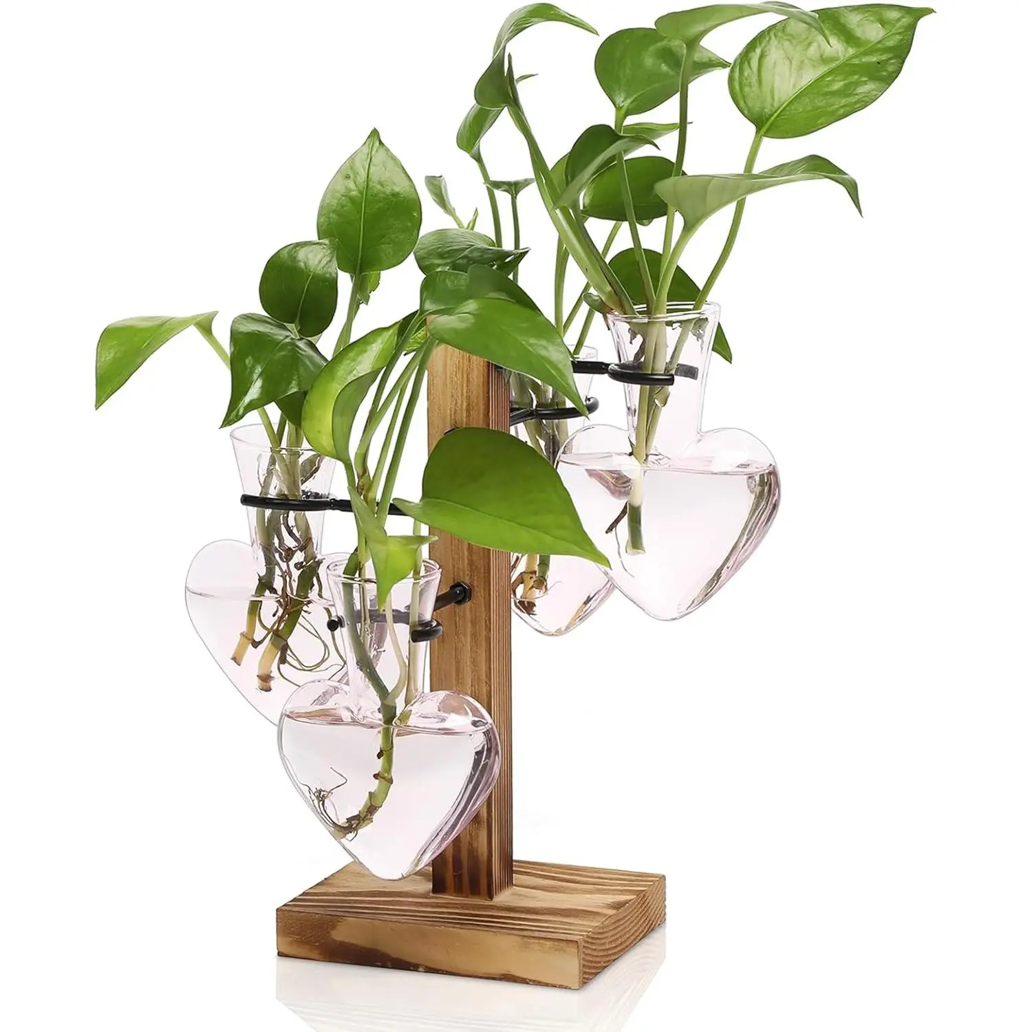 Glass Propagation Station Terrarium Set - 4 Iron Frame Glass Bottle Vases for Indoor Room Decor, Window Display, Mum Christmas Home Garden Accessories
