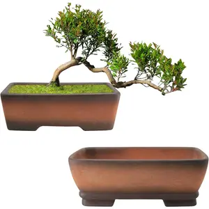 2 Pack Handmade Color Gradational Terracotta Bonsai Pot 6 Inch and 7 Inch with Drip Tray, Breathable Unglazed Rectangle Ceramic Planter for Tree Succulent Cactus