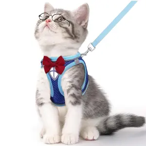 Cat Harness and Leash Set for Walking, Anti-Escape Adjustable Kitten Vest, Breathable Mesh with Reflective Strips, Detective Conan Inspired Design