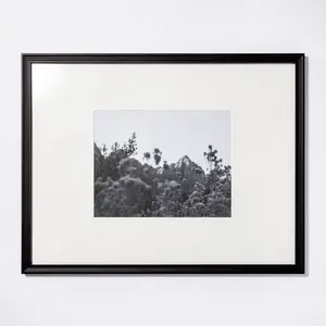 20" x 26" Matted to 11" x 14" Gallery Frame Art Black - Threshold designed with