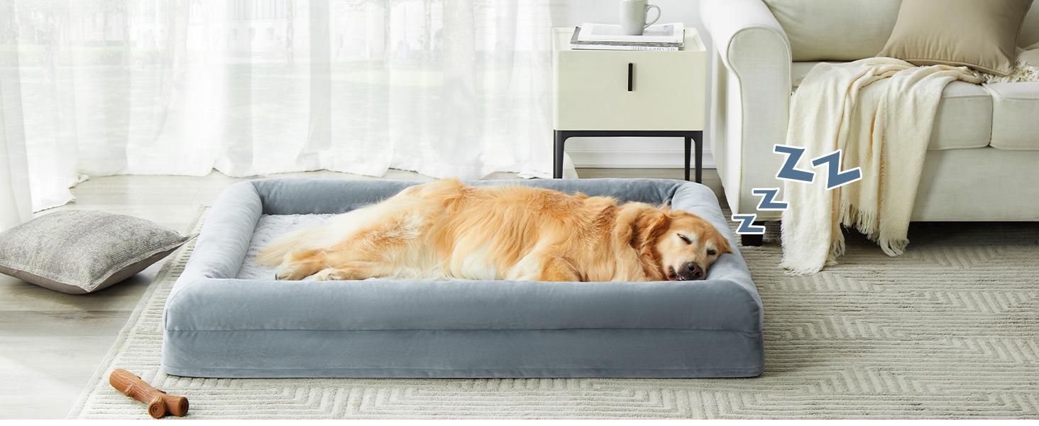 Large Orthopedic Dog Bed - Snap-On Modern Plain Design, Egg Sponge Egg-Crate Pressure Relief, Washable Couch with Removable Waterproof Velvet Cover, Skin-Friendly Bolster-Sides for Joint Relief & Comfortable Private Space, Puppy Bed, 45 X 35 X 7 Inches