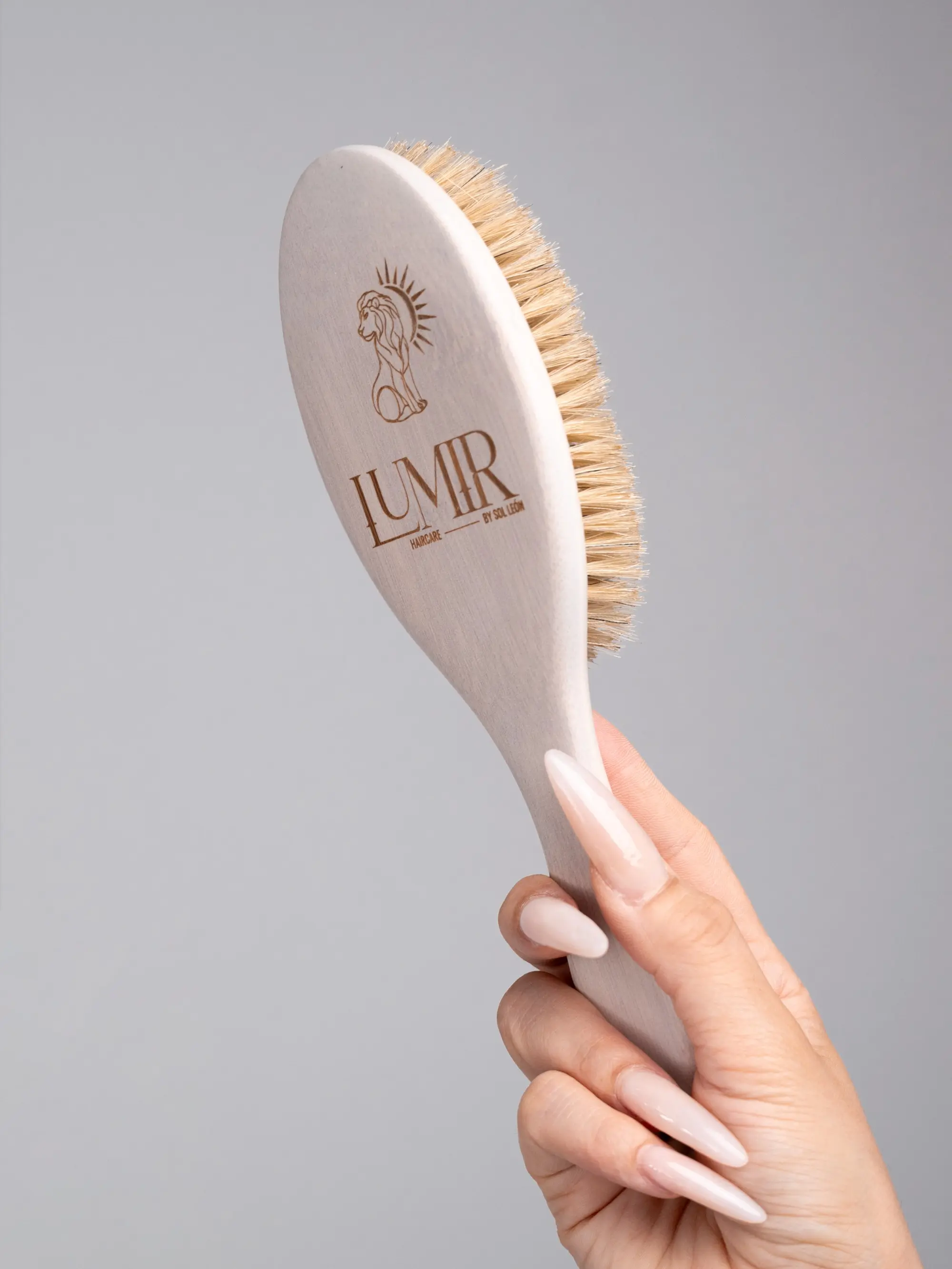 Boar Bristle Brush Air Cushion