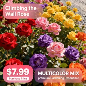 Rose Seeds – Hardy Perennial Flowers for Gardens, Fences & Patios | Easy to Grow, Stunning Blooms