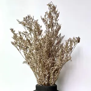 Limonium Dried Flowers